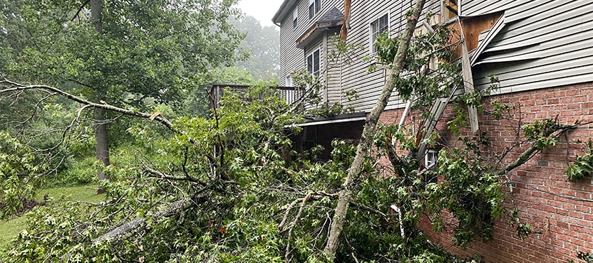 a mess of trees and branches that have fallen onto a house and damaged some of its siding